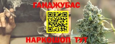 трава Гатчина